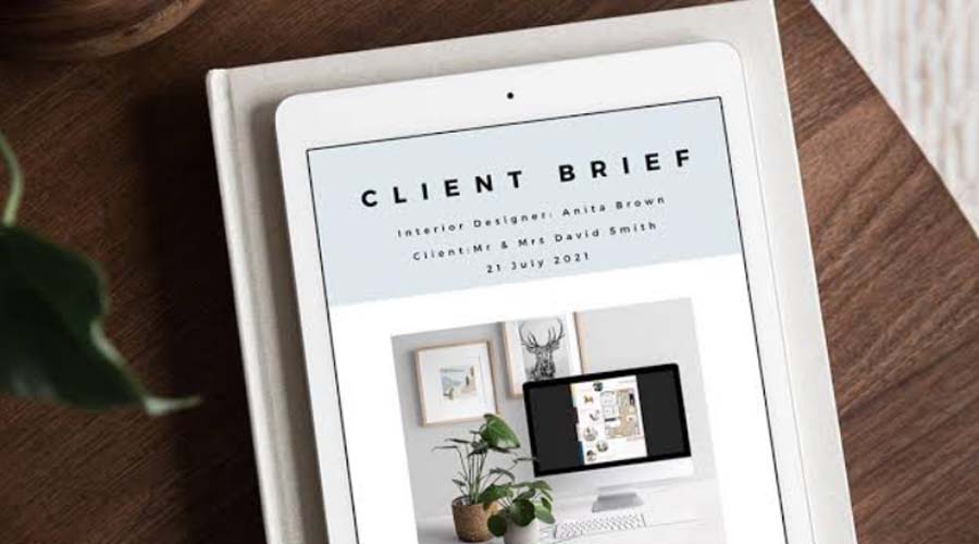 Client briefing an interior designer with reference materials